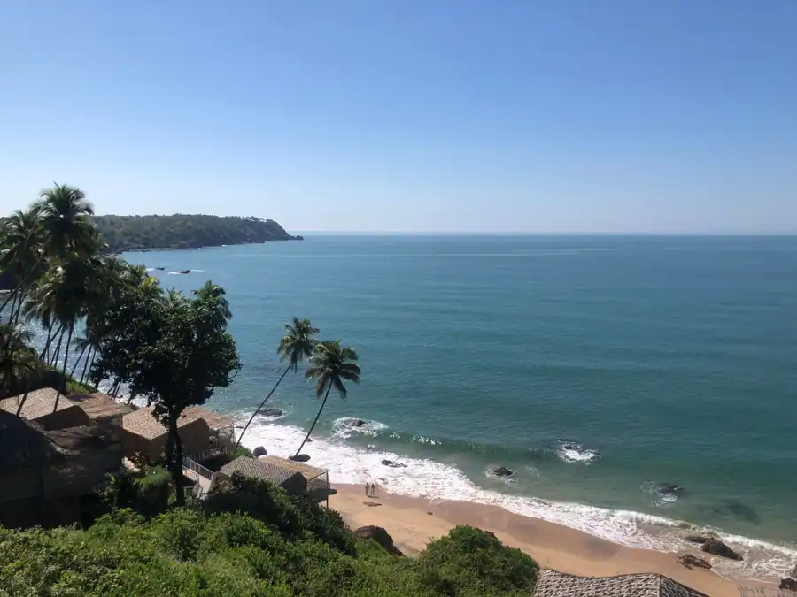 Beautiful aerial view of a tropical beach with palm trees and blue ocean.